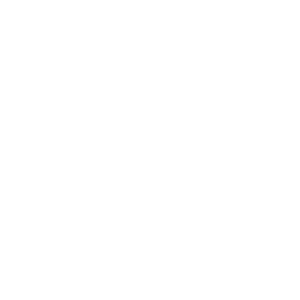 0000s_0005_IQ-CAPITAL.png