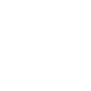 0000s_0002_NIF-1.png